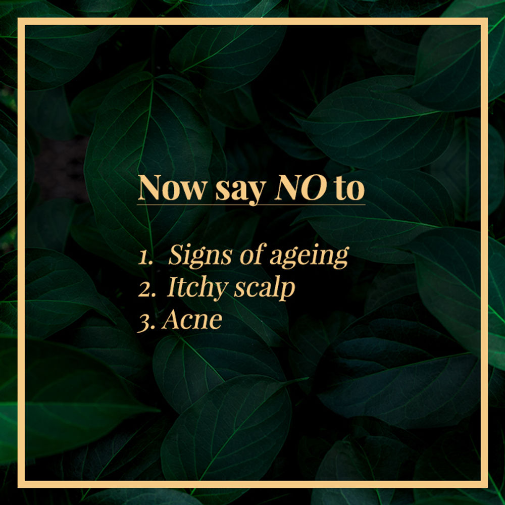 https://cdn.shopify.com/s/files/1/1857/6931/products/good-vibes-ginger-essential-oil-10-ml_6_display_1589606881_67b06695.jpg?v=1646131682