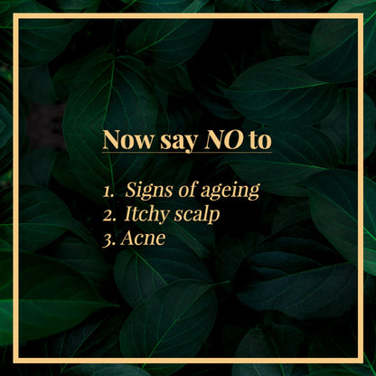 https://cdn.shopify.com/s/files/1/1857/6931/products/good-vibes-ginger-essential-oil-10-ml_6_display_1589606881_67b06695.jpg?v=1646131682
