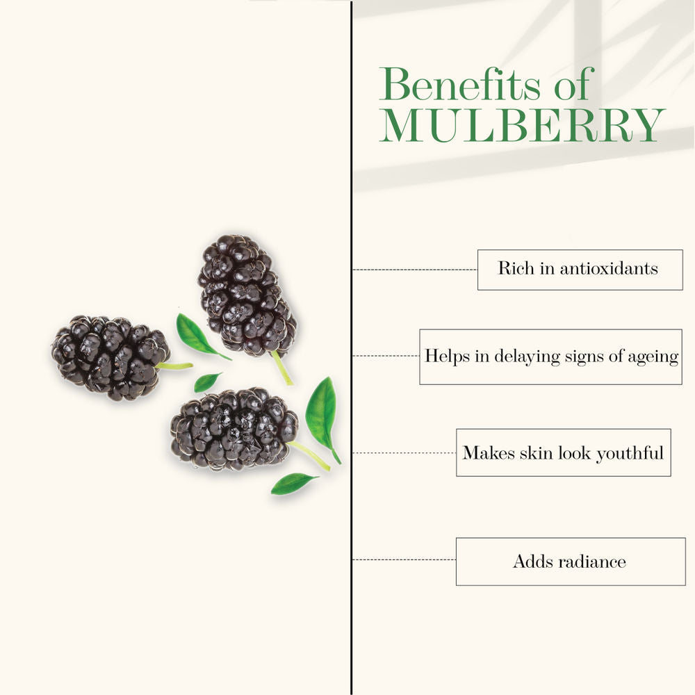 https://cdn.shopify.com/s/files/1/1857/6931/products/good-vibes-glow-toner-mulberry-120-ml_3_display_1618384557_7c133df9.jpg?v=1646292600