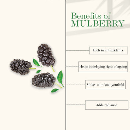 https://cdn.shopify.com/s/files/1/1857/6931/products/good-vibes-glow-toner-mulberry-120-ml_3_display_1618384557_7c133df9.jpg?v=1646292600