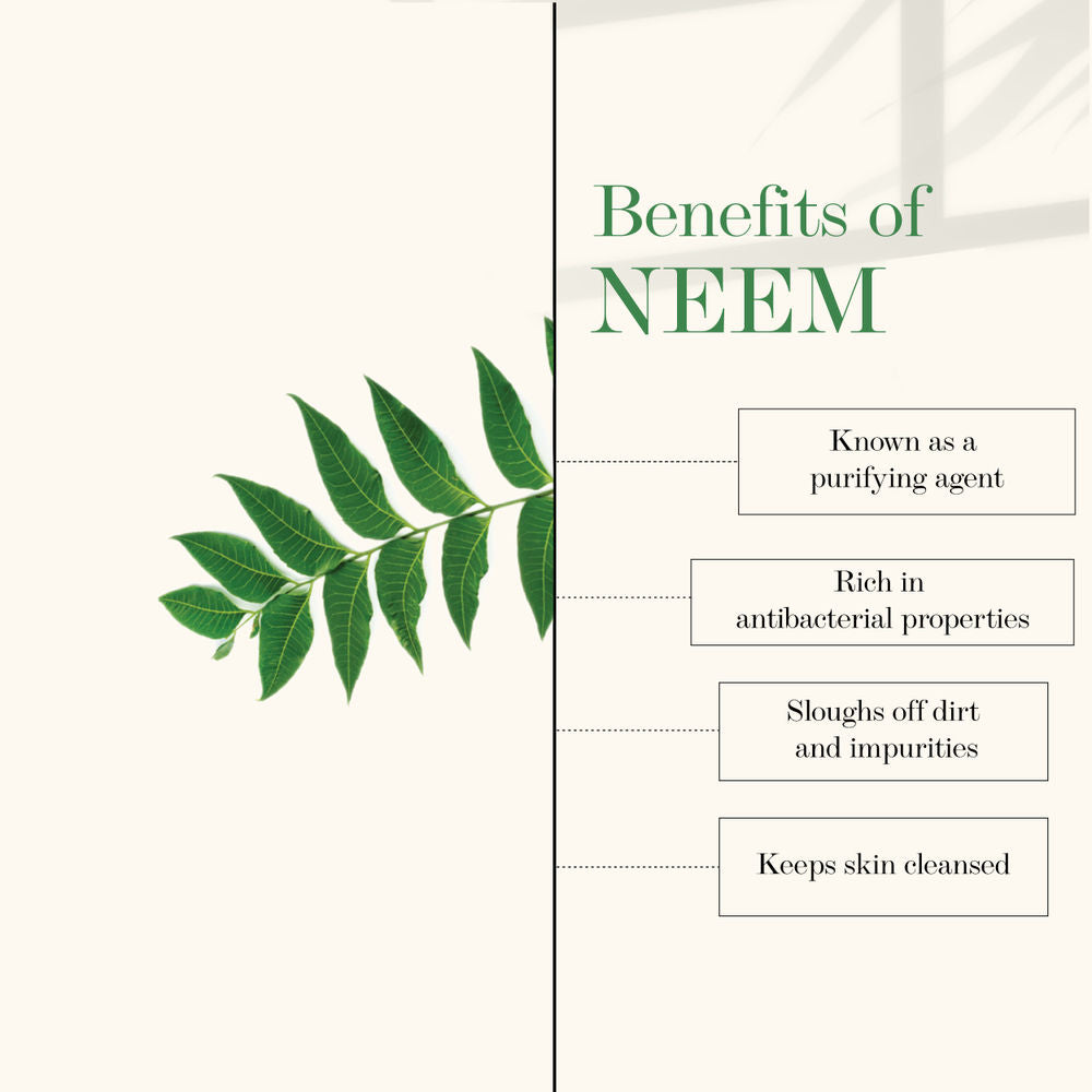 https://cdn.shopify.com/s/files/1/1857/6931/products/good-vibes-glow-toner-neem-and-tulsi-120-ml-13_3_display_1639139959_6af9a5fb.jpg?v=1646292789