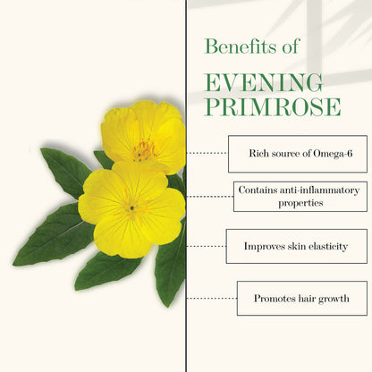 https://cdn.shopify.com/s/files/1/1857/6931/products/good-vibes-grape-seed-and-evening-primrose-oil-cold-pressed-oil-100ml_2_display_1609419413_ea8ad025.jpg?v=1646286677