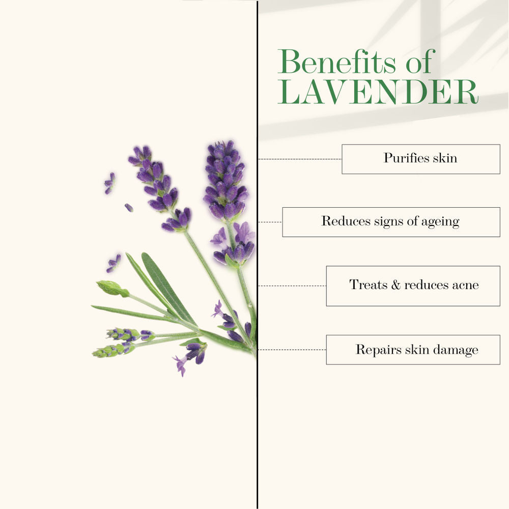 https://cdn.shopify.com/s/files/1/1857/6931/products/good-vibes-lavender-soothing-toner-120ml_5_display_1627302042_951b0fcd.jpg?v=1646290534