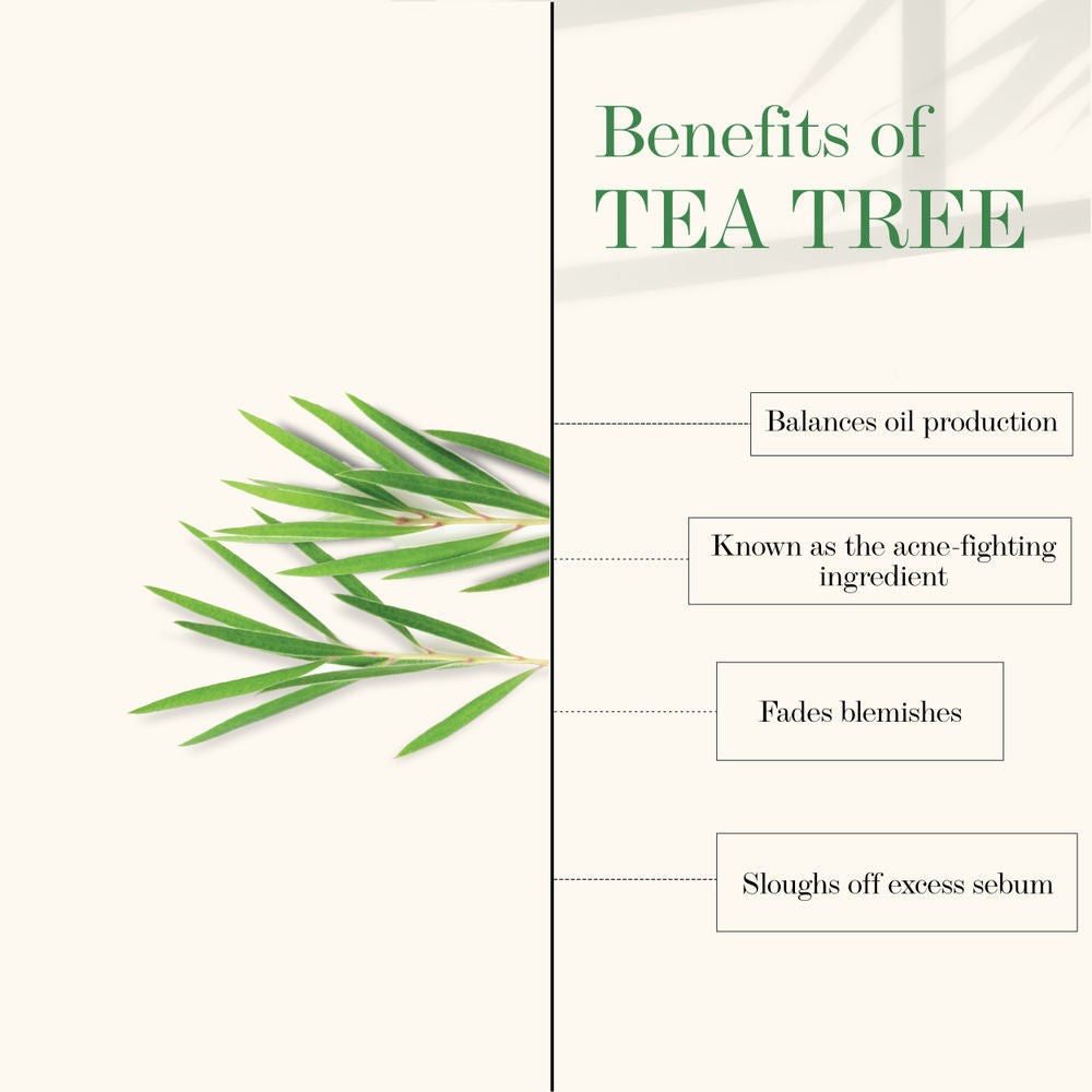 https://cdn.shopify.com/s/files/1/1857/6931/products/good-vibes-nourishing-cleansing-oil-tea-tree-30-ml-1_3_display_1618228767_6d5bd67c.jpg?v=1646293076