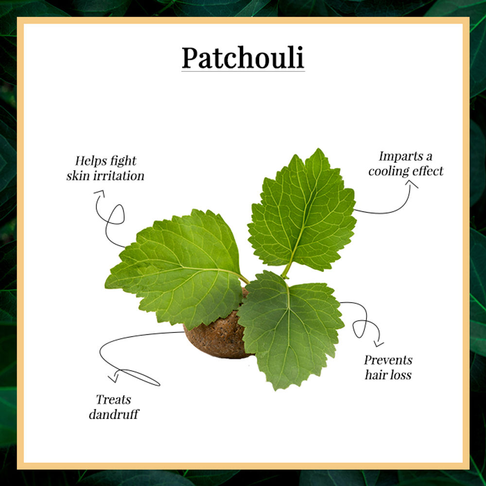 https://cdn.shopify.com/s/files/1/1857/6931/products/good-vibes-patchouli-essential-oil-10-ml_5_display_1589606439_4f6758f2.jpg?v=1646131735