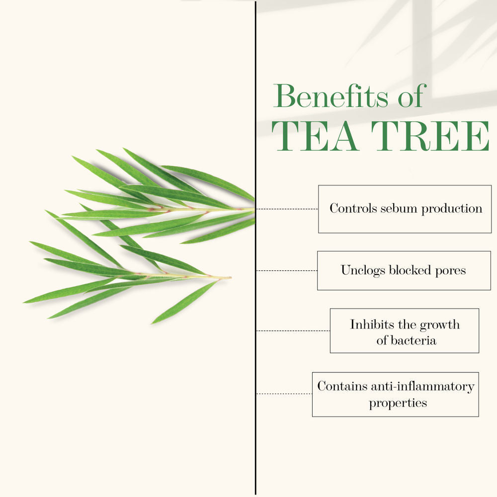https://cdn.shopify.com/s/files/1/1857/6931/products/good-vibes-purifying-face-cream-tea-tree-50-g-1_4_display_1618807742_83e8c7fa.jpg?v=1646387376