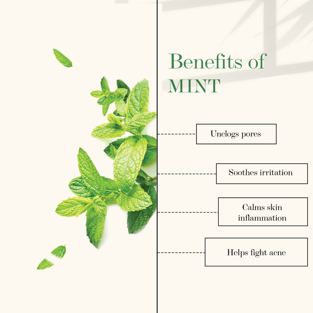 https://cdn.shopify.com/s/files/1/1857/6931/products/good-vibes-refreshing-face-mist-lavender-and-mint-50-ml_7_display_1625806644_3762f452.jpg?v=1646369828