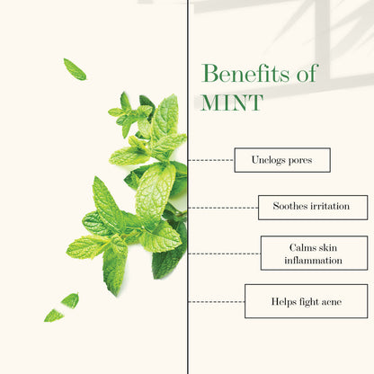 https://cdn.shopify.com/s/files/1/1857/6931/products/good-vibes-refreshing-face-mist-lavender-and-mint-50-ml_7_display_1625806644_3762f452.jpg?v=1646369828