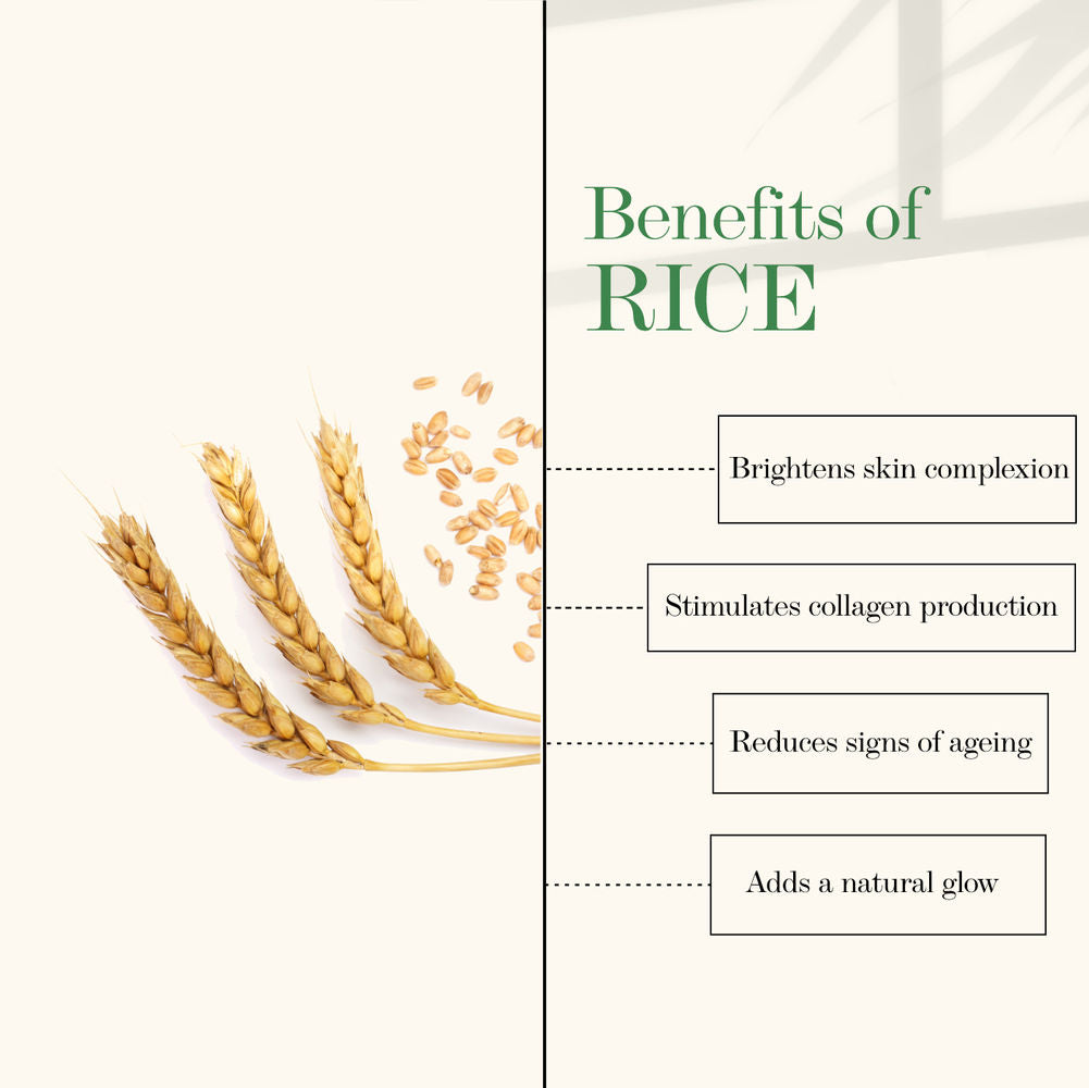 https://cdn.shopify.com/s/files/1/1857/6931/products/good-vibes-rice-brightening-toner-120ml-1_4_display_1612791101_78c25e2f.jpg?v=1646370170