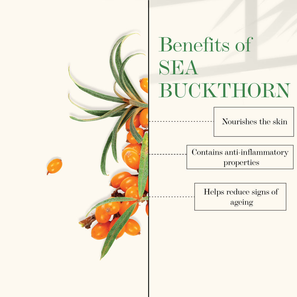 Image 3 of Good Vibes Skin Renewal Facial Oil - Sea Buckthorn