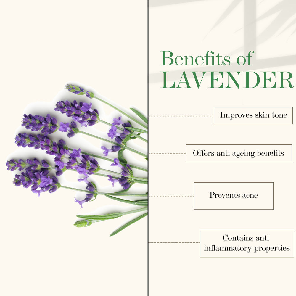 https://cdn.shopify.com/s/files/1/1857/6931/products/good-vibes-softening-body-lotion-lavender-200-ml-2_2_display_1606296178_be7452d9.jpg?v=1646290405
