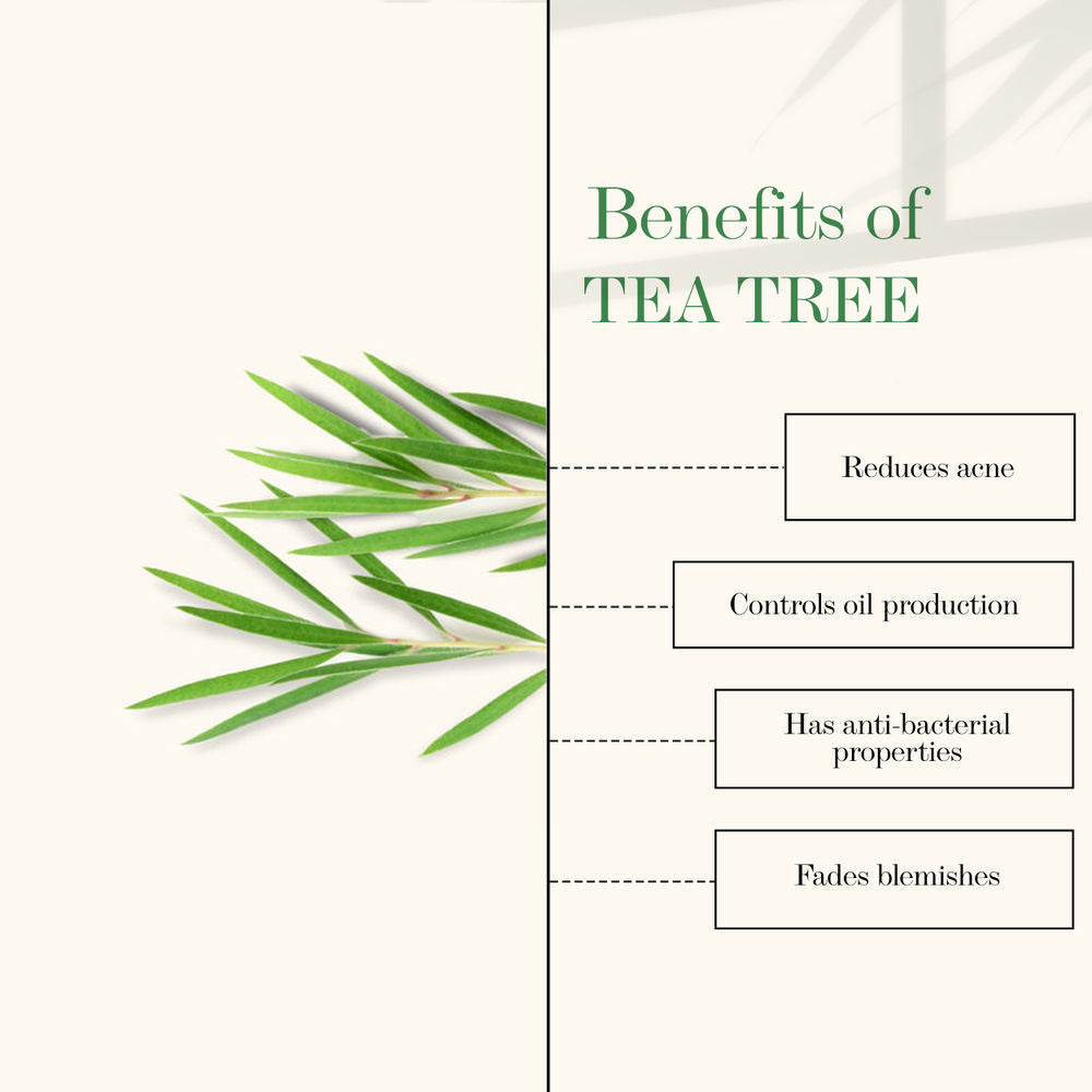 https://cdn.shopify.com/s/files/1/1857/6931/products/good-vibes-tea-tree-and-papaya-oil-control-face-serum-10-ml_5_display_1622805259_ff90a3e5.jpg?v=1646386829