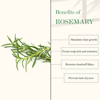 https://cdn.shopify.com/s/files/1/1857/6931/products/good-vibes-tea-tree-and-rosemary-anti-dandruff-hair-oil-100-ml_6_display_1616832798_0284da2a.jpg?v=1646386885