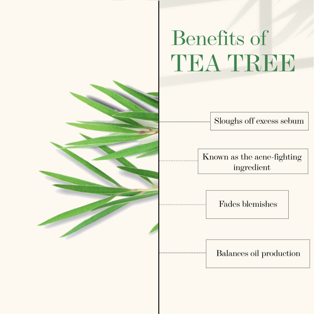 https://cdn.shopify.com/s/files/1/1857/6931/products/good-vibes-tea-tree-oil-control-peel-off-mask-50-gm_2_display_1619013086_e4f22c62.jpg?v=1646387345