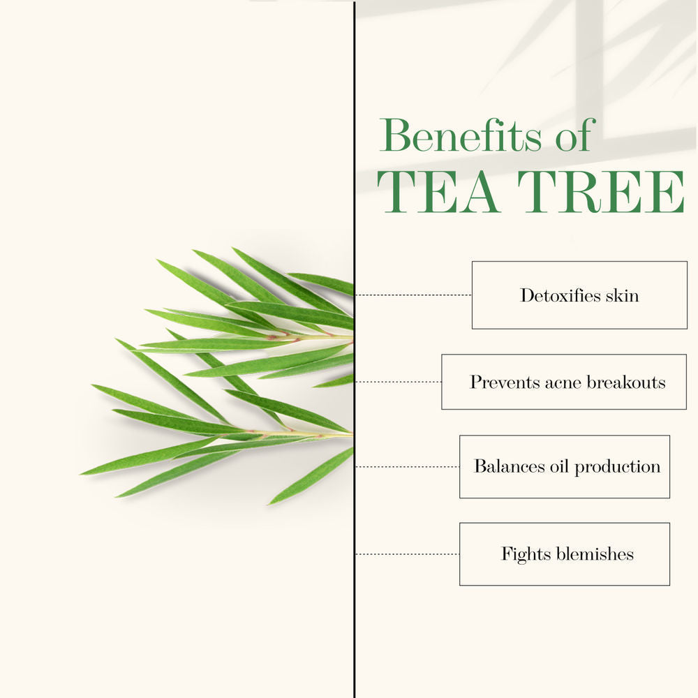 https://cdn.shopify.com/s/files/1/1857/6931/products/good-vibes-tea-tree-skin-cleansing-toner-120-ml-2_3_display_1622443384_c572a1f1.jpg?v=1646386996