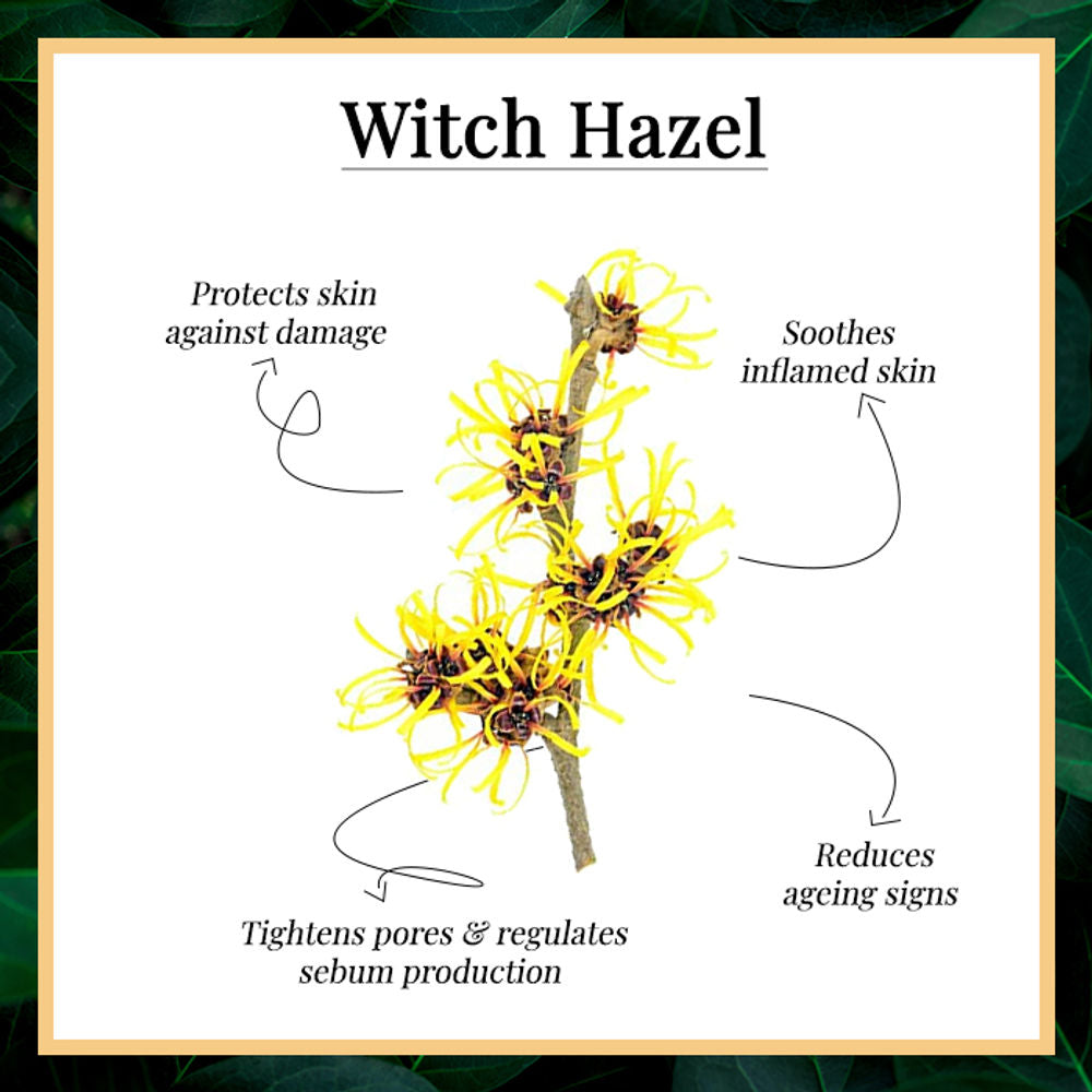 https://cdn.shopify.com/s/files/1/1857/6931/products/good-vibes-witch-hazel-toner-120ml_2_display_1591081236_a69c899c.jpg?v=1646389360