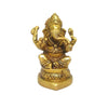 https://cdn.shopify.com/s/files/1/1857/6931/products/gsaMcQJ3Mi.jpg?v=1762380679