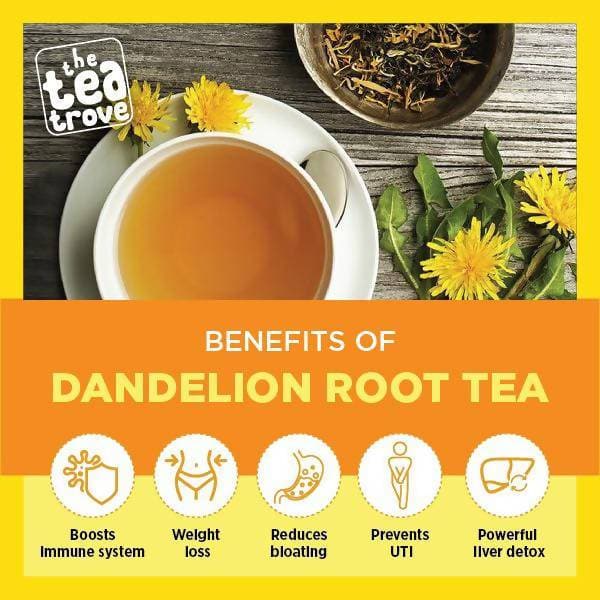 https://cdn.shopify.com/s/files/1/1857/6931/products/gthE6RMJON.jpg?v=1613945218