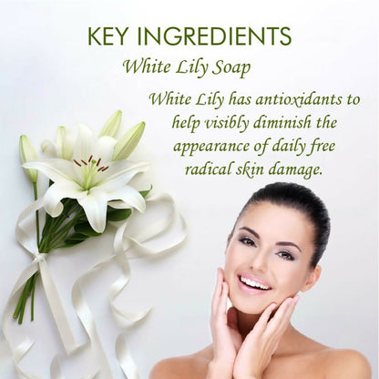 https://cdn.shopify.com/s/files/1/1857/6931/files/gtqqOR9wJx.jpg?v=1715003109