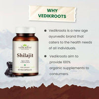 https://cdn.shopify.com/s/files/1/1857/6931/products/guehhFUP0H.jpg?v=1694428319