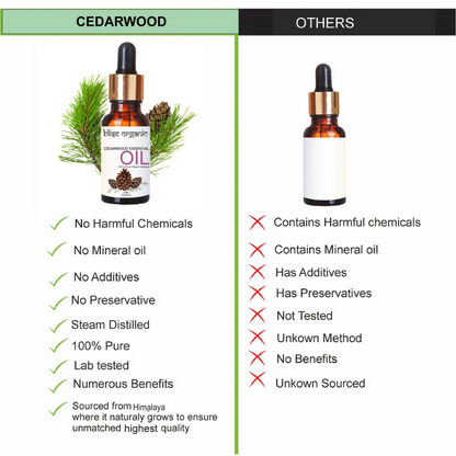 https://cdn.shopify.com/s/files/1/1857/6931/files/gvsZQqwxNg.png?v=1777963667