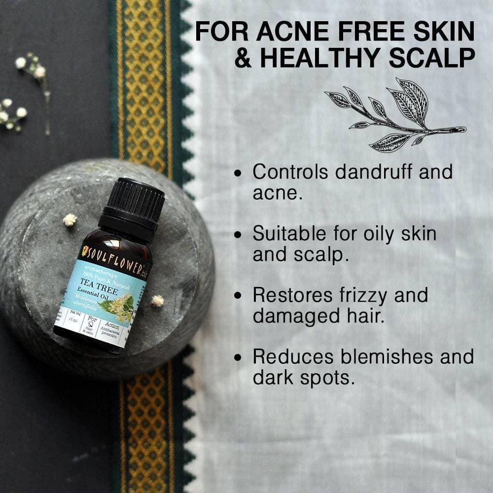 https://cdn.shopify.com/s/files/1/1857/6931/products/gvuUl53ZXV.jpg?v=1626165143