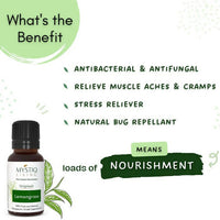 https://cdn.shopify.com/s/files/1/1857/6931/products/h1meTxIVvT.jpg?v=1664429874