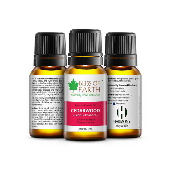 https://cdn.shopify.com/s/files/1/1857/6931/products/h29yR0ftkk.jpg?v=1674540976