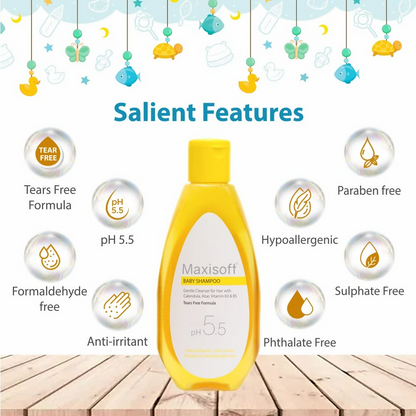 https://cdn.shopify.com/s/files/1/1857/6931/files/h3JfHLGQI8.png?v=1731417990