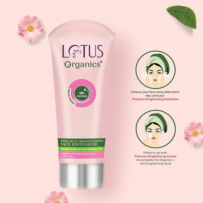 https://cdn.shopify.com/s/files/1/1857/6931/products/h4xiZsS6vq.jpg?v=1648460935