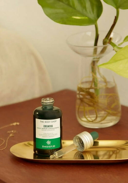 https://cdn.shopify.com/s/files/1/1857/6931/products/h52scMr4sC.jpg?v=1669379496