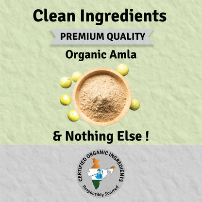 https://cdn.shopify.com/s/files/1/1857/6931/products/h7csQhVL4N.jpg?v=1658131795