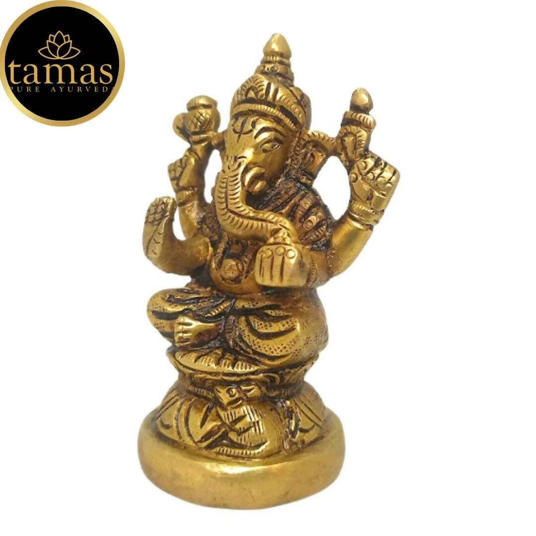 https://cdn.shopify.com/s/files/1/1857/6931/products/h86GG7Q0hB.jpg?v=1681465880