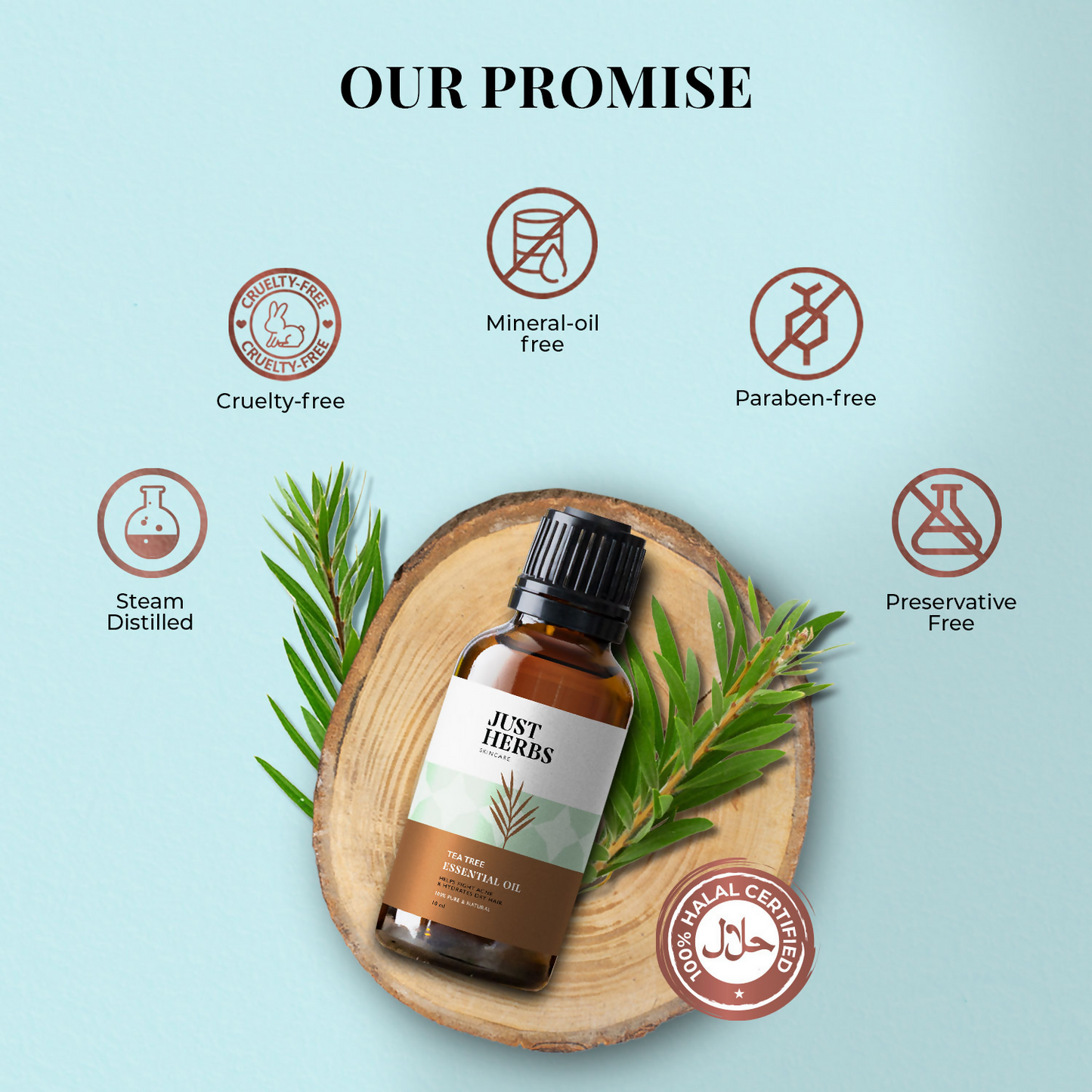 https://cdn.shopify.com/s/files/1/1857/6931/files/h8u5Z2pmsY.png?v=1739423998