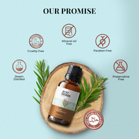 https://cdn.shopify.com/s/files/1/1857/6931/files/h8u5Z2pmsY.png?v=1739423998
