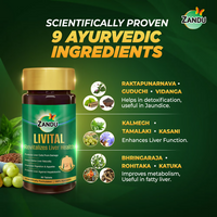 https://cdn.shopify.com/s/files/1/1857/6931/products/h8vrAXEfKf.png?v=1700719339