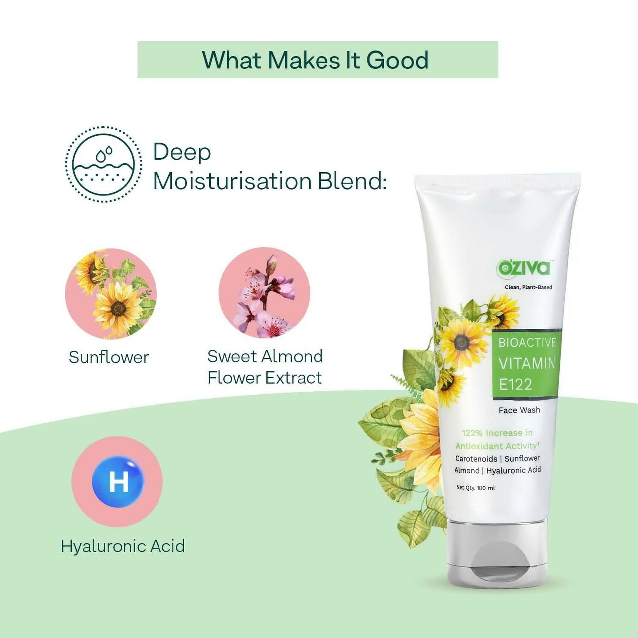 https://cdn.shopify.com/s/files/1/1857/6931/products/hDMoeIE1dx.jpg?v=1695129023