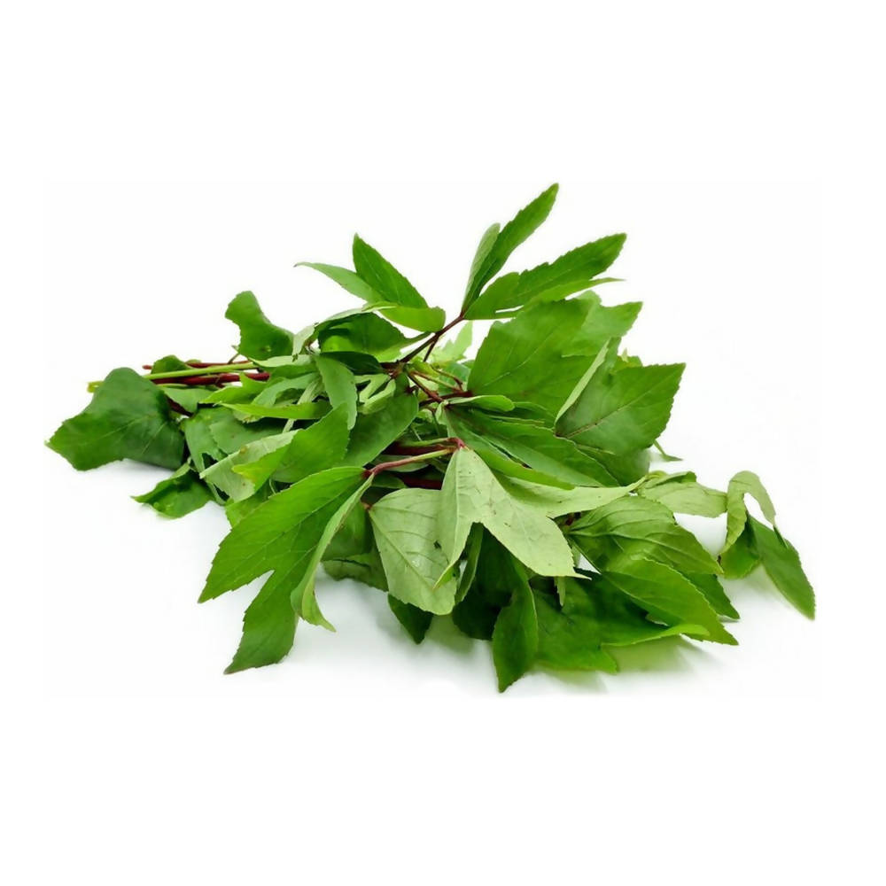 https://cdn.shopify.com/s/files/1/1857/6931/products/hDng0kXol9.jpg?v=1646912421