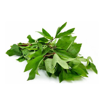 https://cdn.shopify.com/s/files/1/1857/6931/products/hDng0kXol9.jpg?v=1646912421