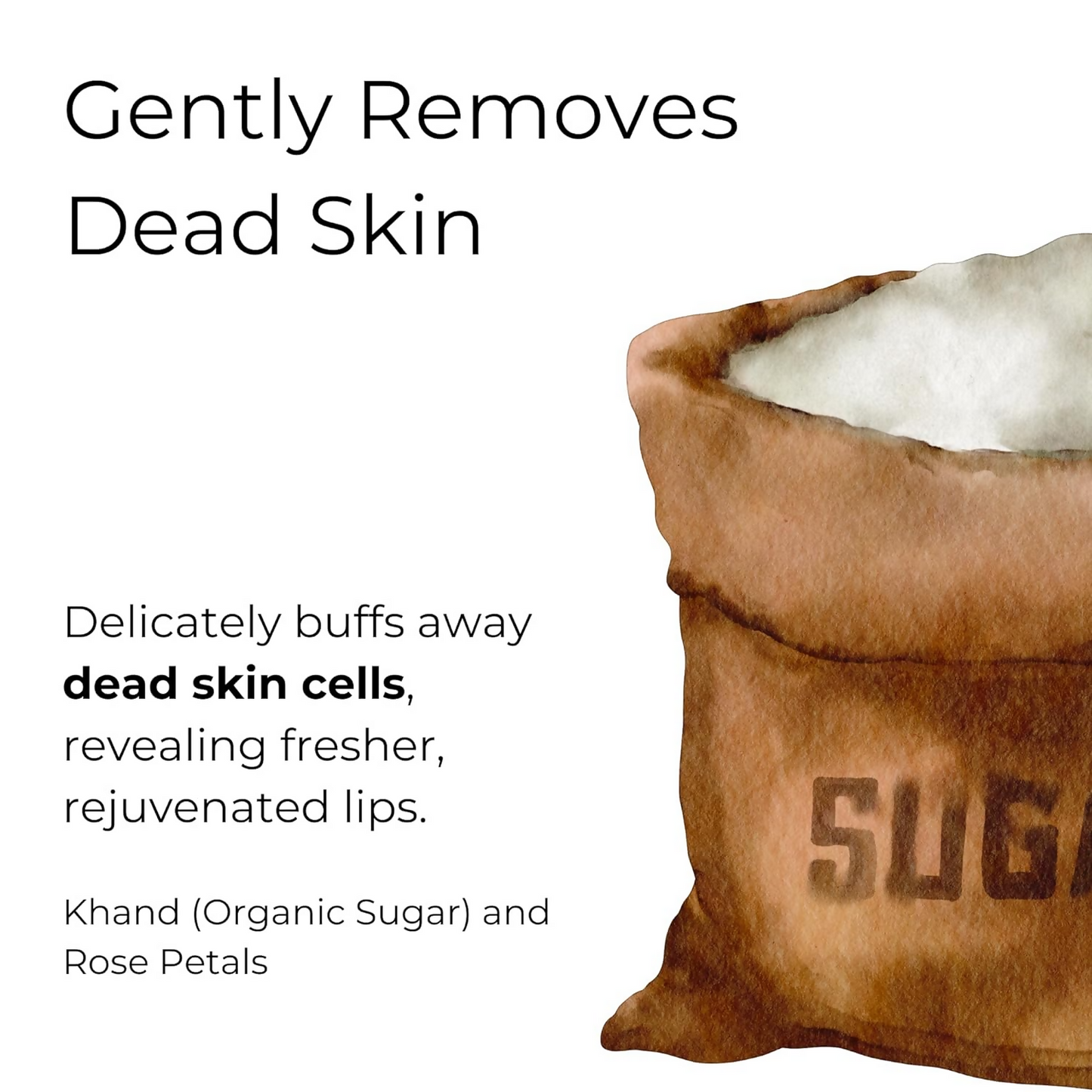 https://cdn.shopify.com/s/files/1/1857/6931/files/hFQLyBcrNv.png?v=1728537502
