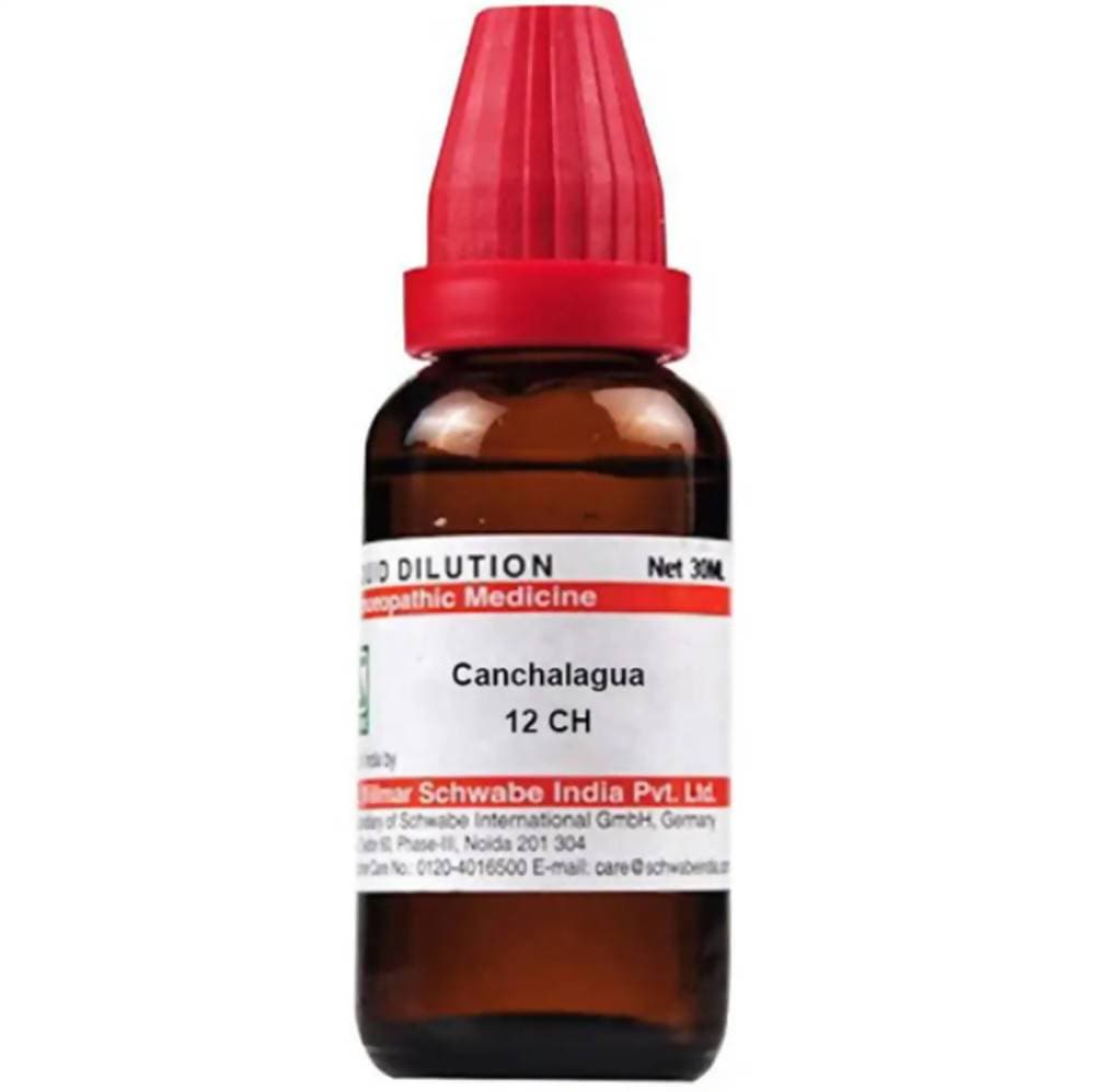 https://cdn.shopify.com/s/files/1/1857/6931/products/hFbgsTWVal.jpg?v=1613912078