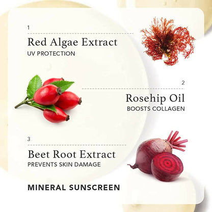 https://cdn.shopify.com/s/files/1/1857/6931/products/hGxGCgkHjZ.jpg?v=1663307473