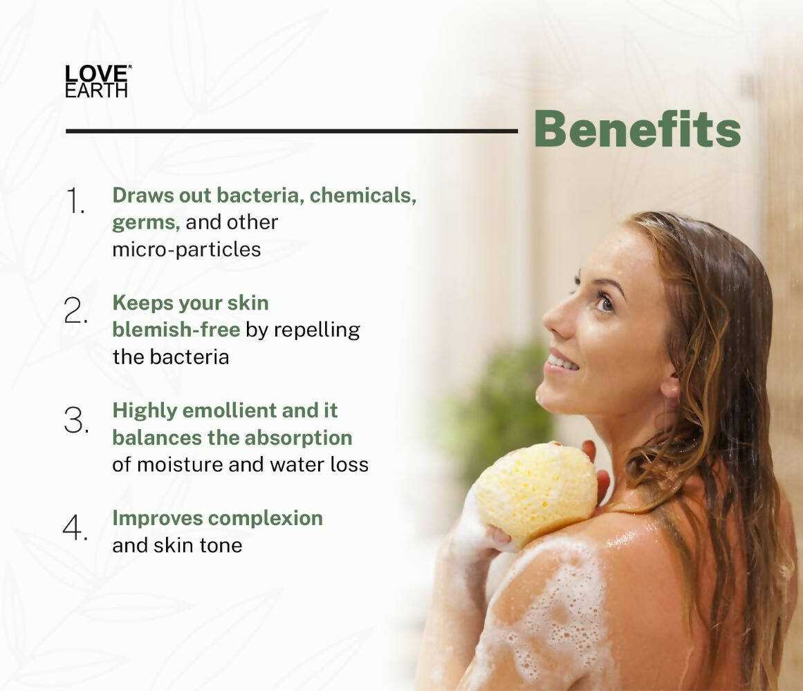 https://cdn.shopify.com/s/files/1/1857/6931/products/hIfzJlNDKd.jpg?v=1713165241