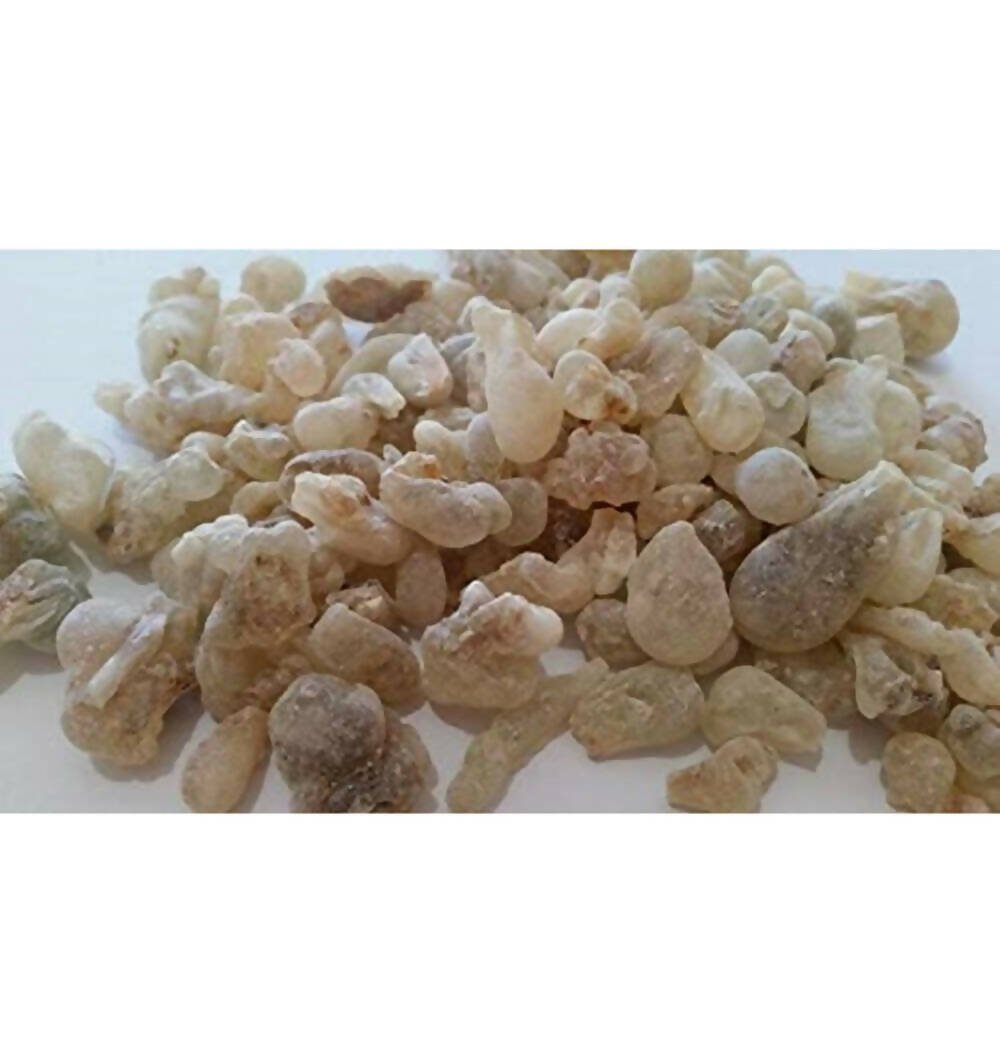 https://cdn.shopify.com/s/files/1/1857/6931/files/hJ6HkdMKRb-479010.jpg?v=1736146131