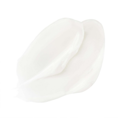 https://cdn.shopify.com/s/files/1/1857/6931/files/hJC8jZ2Pp2.png?v=1736398522