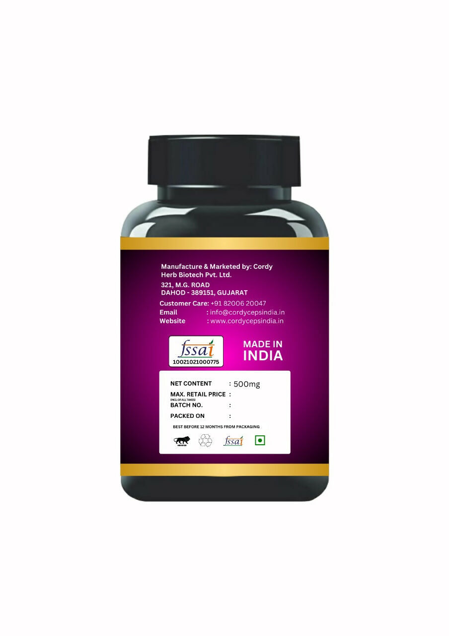 https://cdn.shopify.com/s/files/1/1857/6931/files/hKdBRudOQj.jpg?v=1723277808