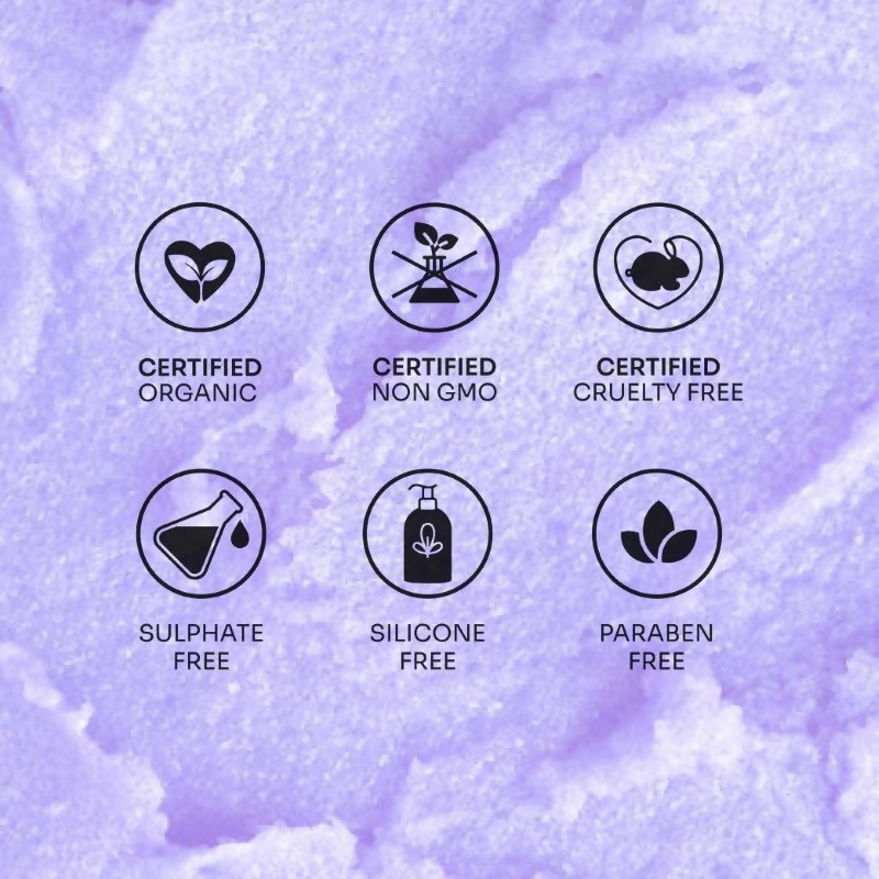 https://cdn.shopify.com/s/files/1/1857/6931/files/hMNTQdq8Uq.png?v=1724153358