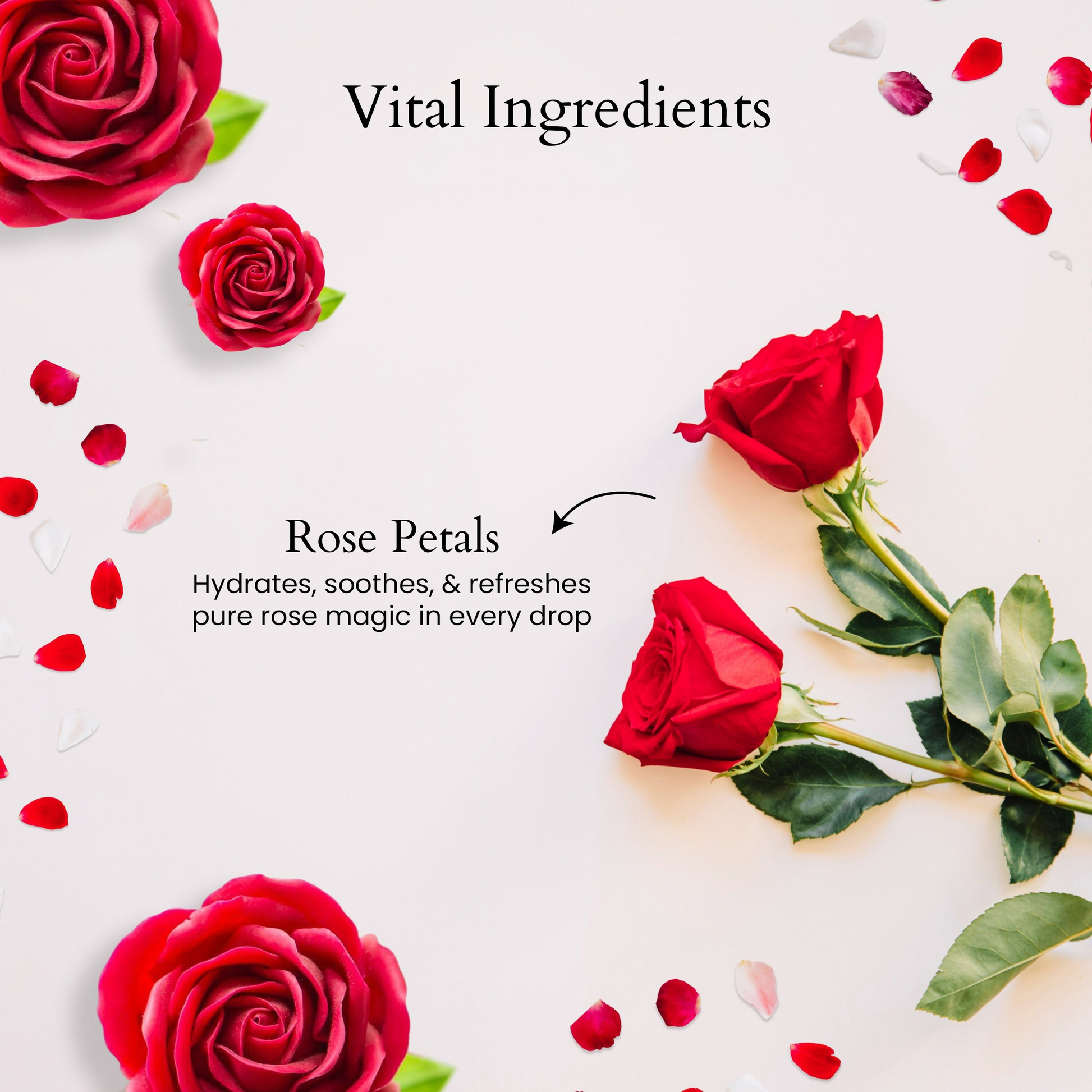 https://cdn.shopify.com/s/files/1/1857/6931/files/hMjrSClnfj.png?v=1752678991