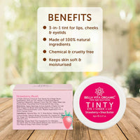 https://cdn.shopify.com/s/files/1/1857/6931/products/hNlFp8tQAJ.jpg?v=1647845621