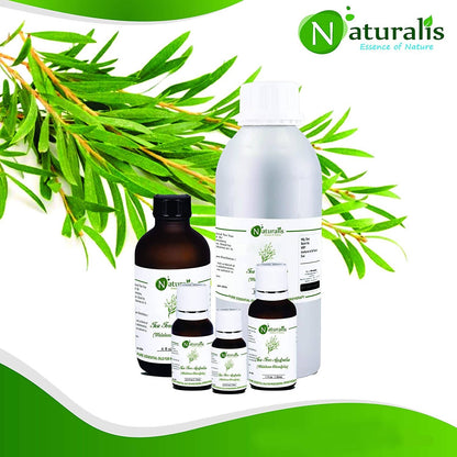 https://cdn.shopify.com/s/files/1/1857/6931/products/hPPpw6jM7g.jpg?v=1623983876